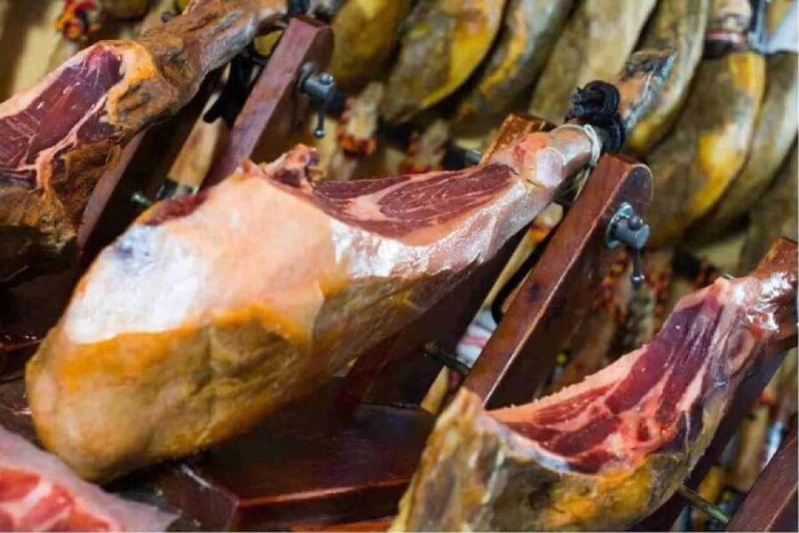 iberian-ham-route-and-cate-in-the-sierra-de-aracena