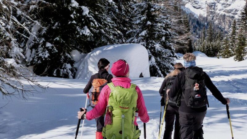 innsbruck-priv-guided-snowy-mountain-hike-snowshoes