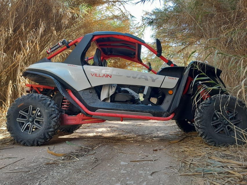 jungle-buggy-adventure
