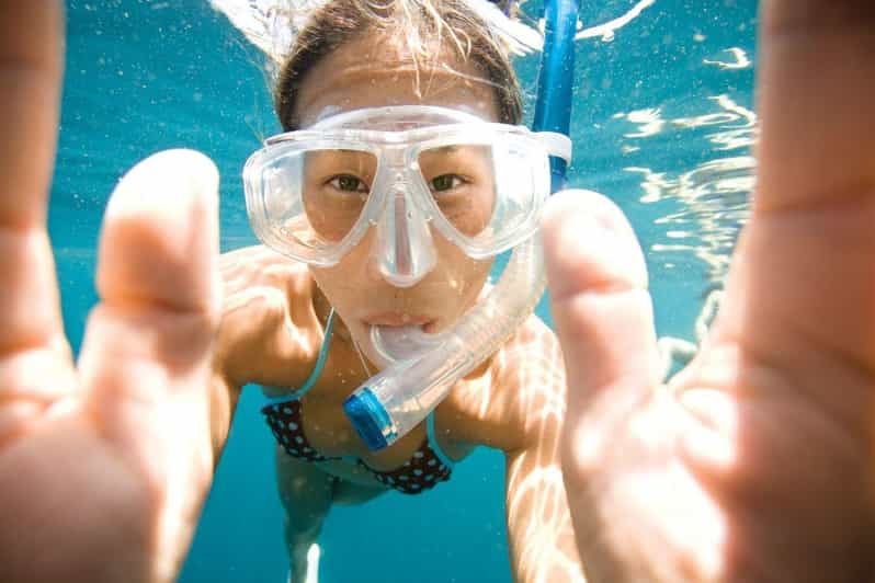 Key Largo: Molasses Reef Snorkeling Trip