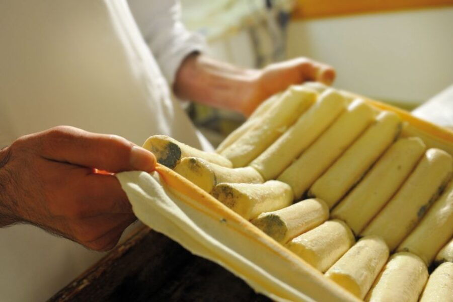 lake-como-cheese-factory-tour-and-tasting-in-valsassina