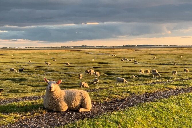 lancashire-love-artisans-food-tour-with-guide