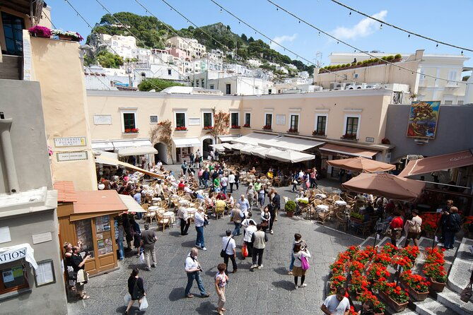 land-and-sea-small-group-capri-island-tour-from-naples-main-port