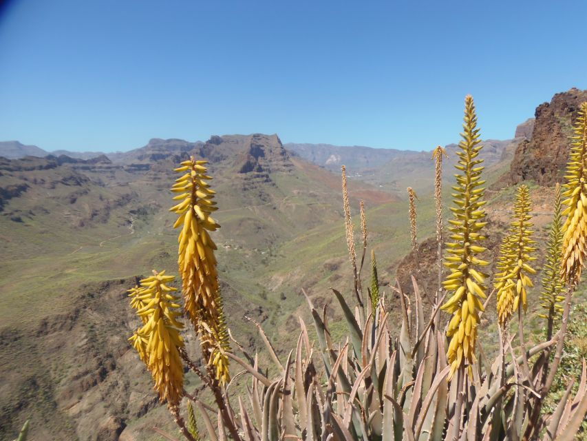 las-palmas-maspalomas-to-the-tejeda-mountains-grand-tour