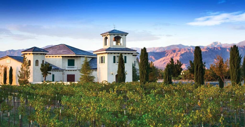 Las Vegas / Pahrump Wine Tasting Tour and Snacks