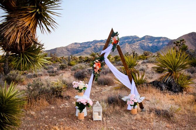 las-vegas-scenic-wedding-ceremonies