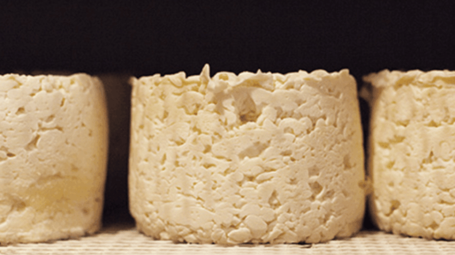 le-mans-gourmet-food-walking-tour-discover-sarthes-flavors