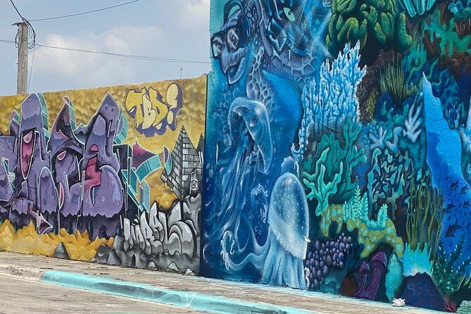 little-havana-and-wynwood-walls-district-guided-tour