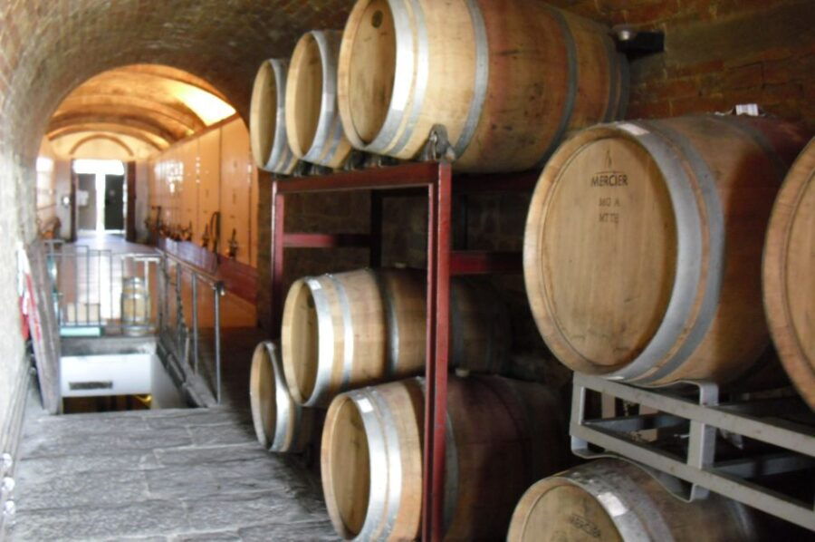 livorno-port-pisa-florence-full-day-shore-excursion