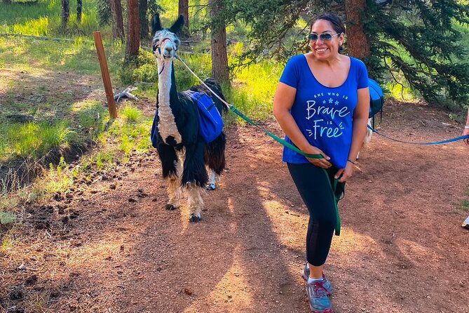 Llama to Lunch in the Rocky Mountains