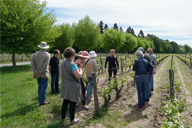 loire-valley-wines-private-day-tour-with-tastings-from-tours-or-amboise