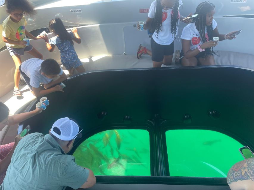 Long Beach: Glass Bottom Boat Harbor Ecotour