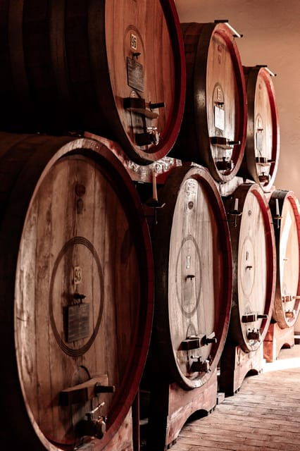 luxurious-wine-experience-savor-venetian-best-vineyards