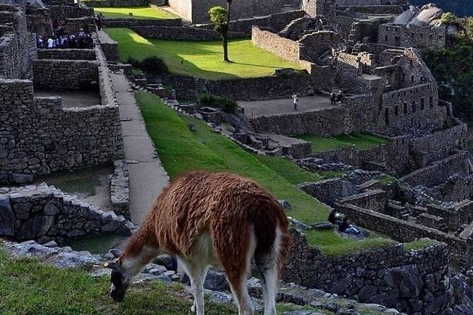 machu-picchu-by-car-3-day-2-night-including-huayna-picchu