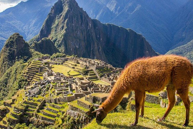 machu-picchu-in-1-day-private-group