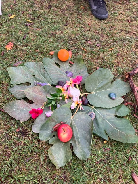 madeira-fanal-forest-tree-connection-ceremony-picnic