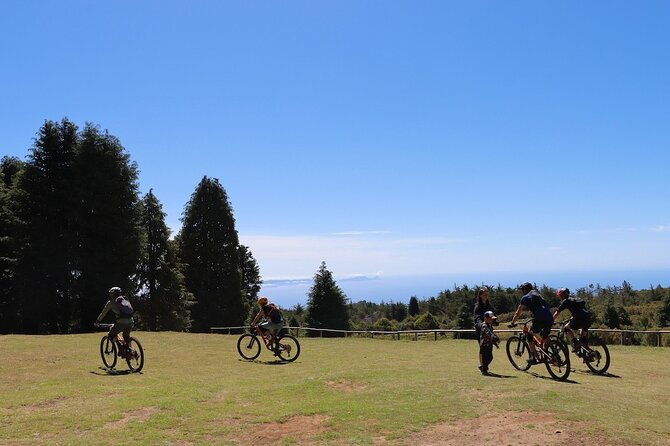 madeira-island-guided-mountain-biking-adventure