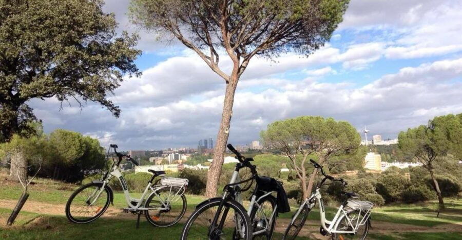 madrids-river-side-casa-de-campo-electric-bike-tour