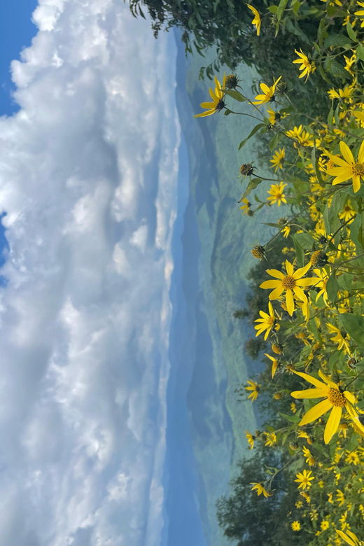 maggie-valley-guided-safari-jeep-mile-high-adventure