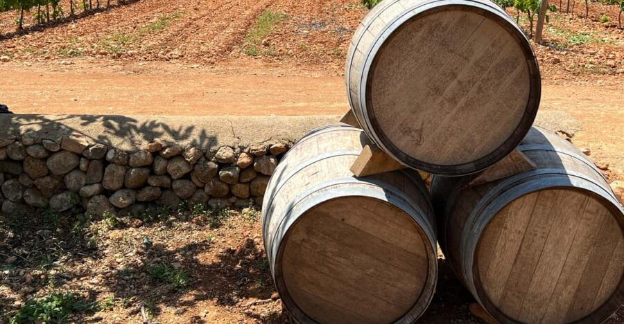 mallorca-discover-the-secret-treasures-of-the-local-wine