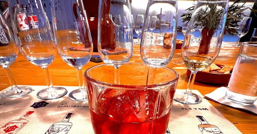 mallorca-gin-tasting