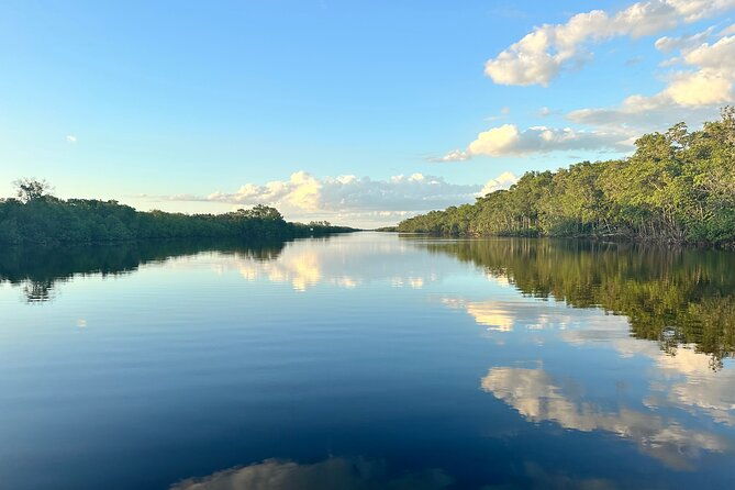 mangrove-and-gulf-excursion-tour