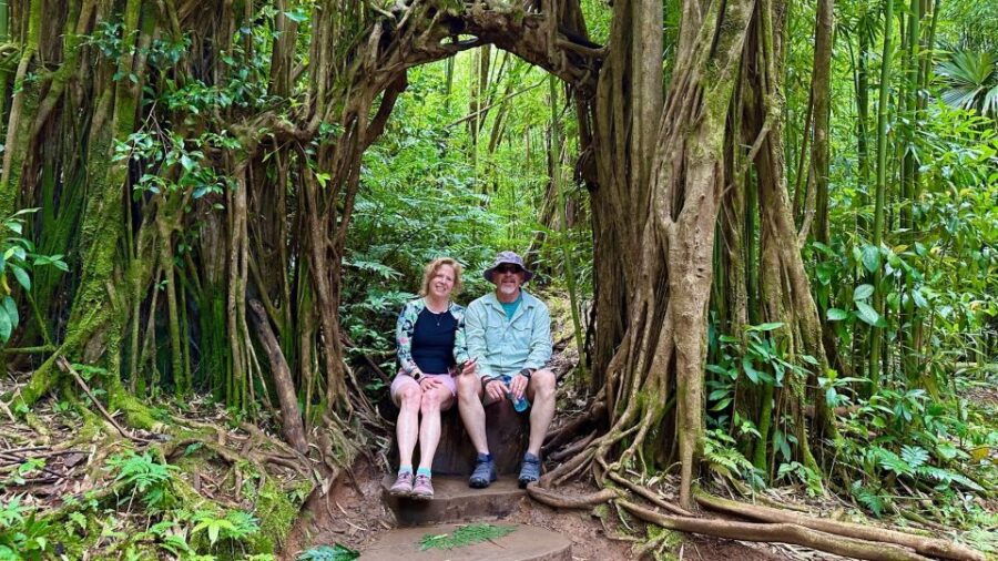 Manoa Falls Ebike to Hike