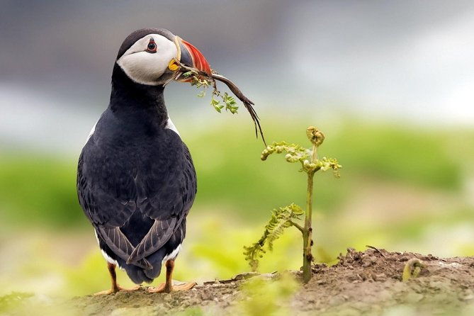 manu-jungle-tour-3-days