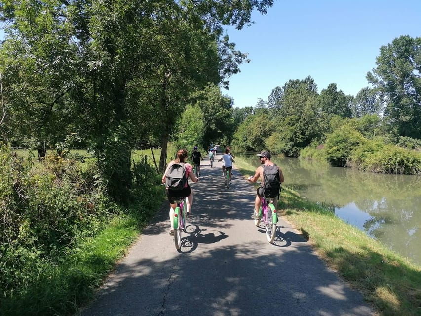 marais-poitevin-cycling-in-green-venice