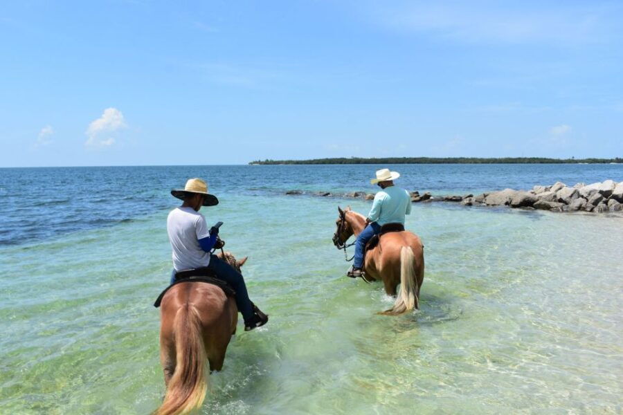 miami-beach-horse-ride-nature-trail