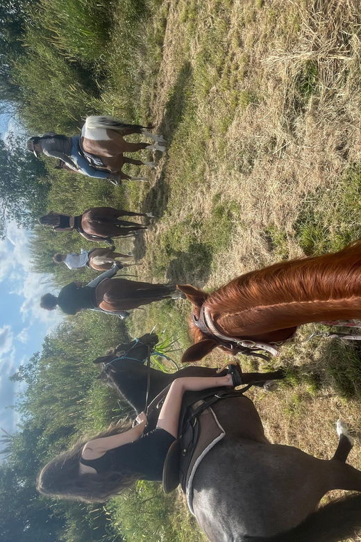 miami-guided-horseback-riding-tour