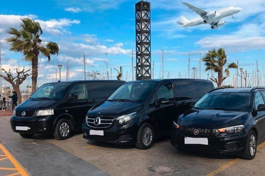 Miami: Guided Tour With Transfer From Cruise Port to Airport