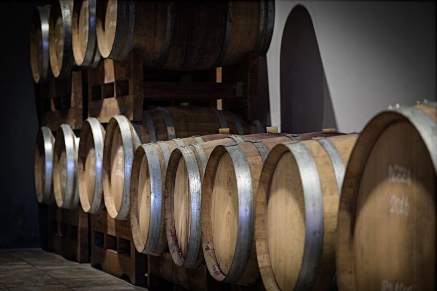 monferrato-wine-tour-picnic-in-the-vineyards