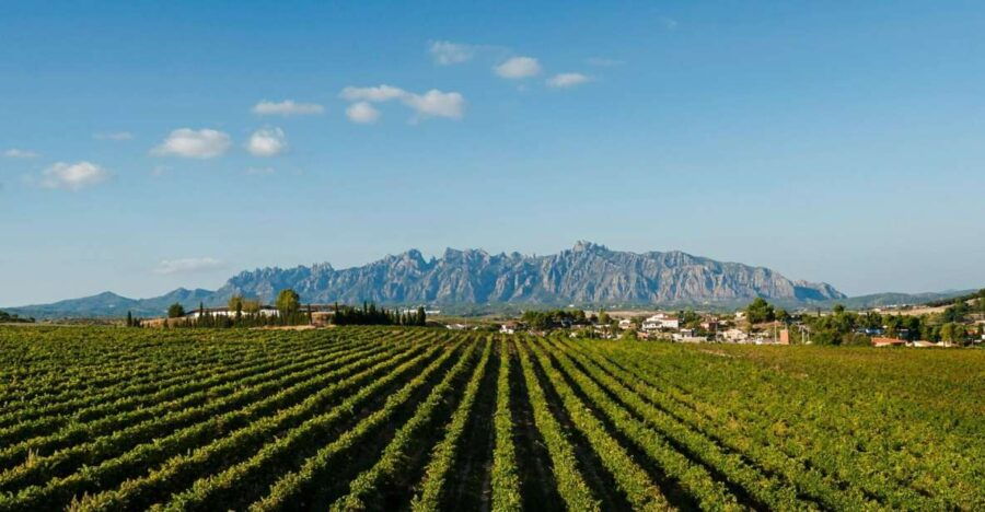 montserrat-cava-wineries-day-trip-from-barcelona-w-pickup