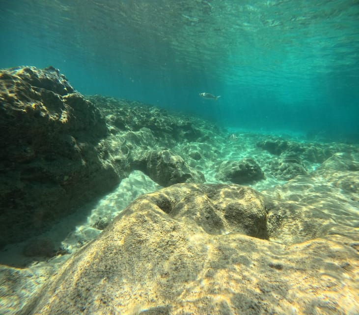 morro-jable-discover-scuba-diving-experience-for-beginners