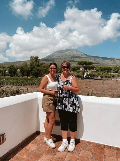 mount-vesuvius-5-wine-tastings-with-tour-lunch-included