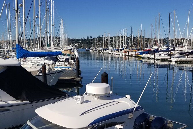 muir-woods-sausalito-marin-headlands-lighthouse-private-tour