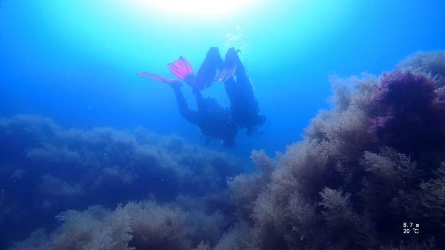 my-first-scuba-dive-in-the-ocean-from-madeira