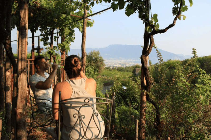 naples-pompeii-and-herculaneum-tour-with-tickets-and-lunch