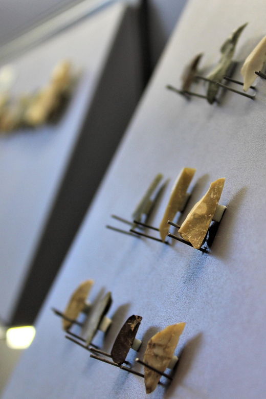 nardo-nardo-lecce-guided-tour-of-the-prehistoric-museum