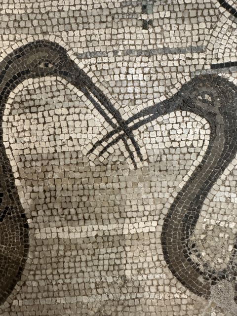 national-archaeological-museum-of-naples-private-guided-tour