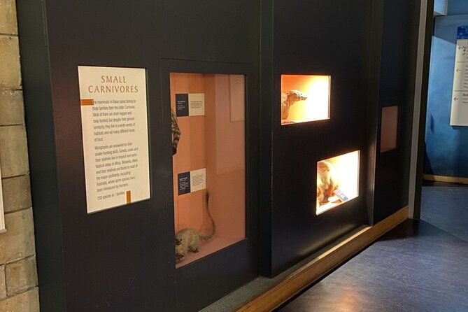 natural-history-museum-self-guided-tour-for-kids-in-english