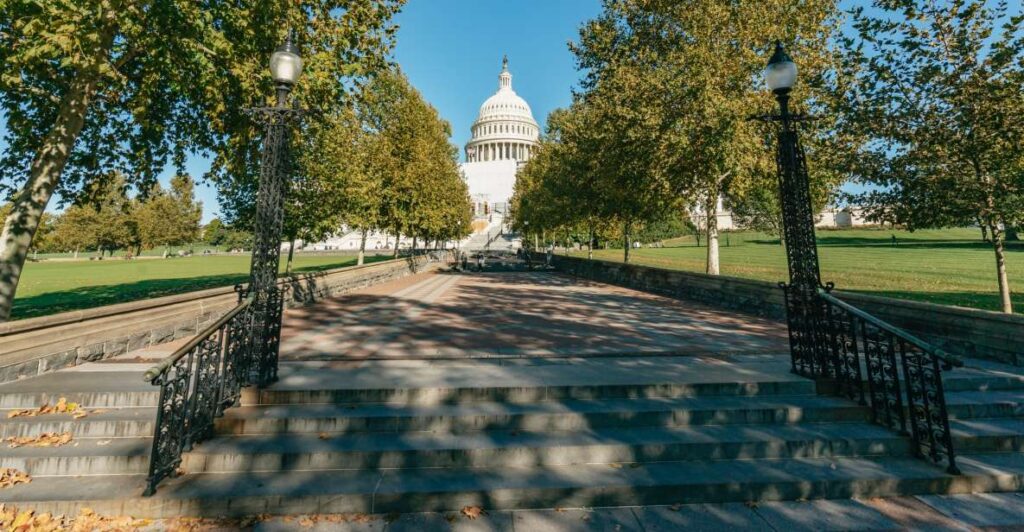 New York City: Full-Day Washington DC City Highlights Tour