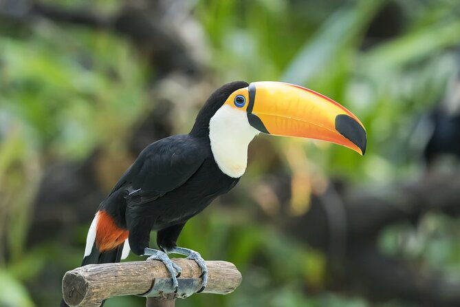 new-york-city-highlights-private-walking-tour