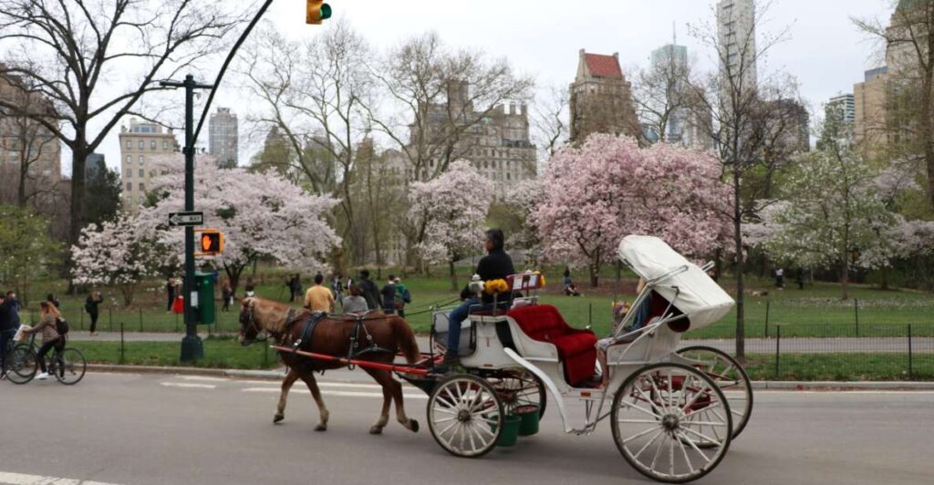 New York City: Horse Carriage Ride Through Central Park