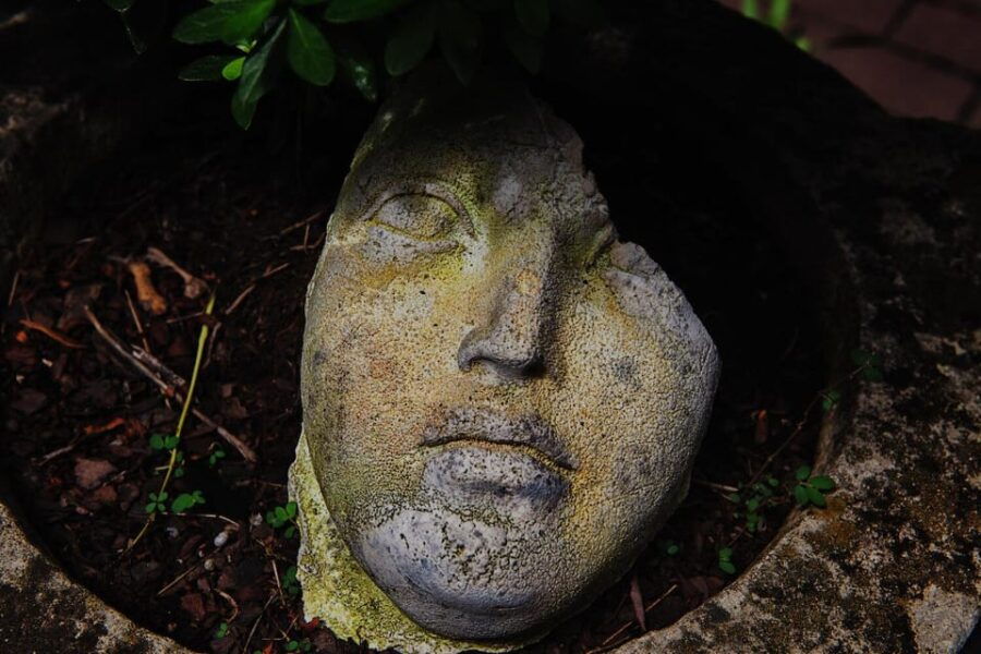 new-york-city-the-garden-photo-tour