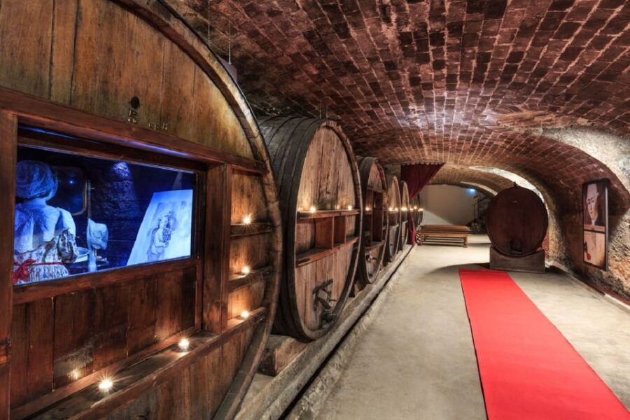 nice-full-day-cotes-de-provence-wine-tour