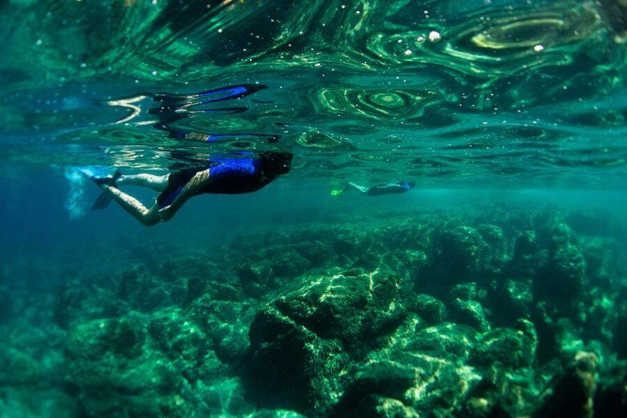 nice-speedboat-day-trip-with-snorkeling-in-villefranche-bay