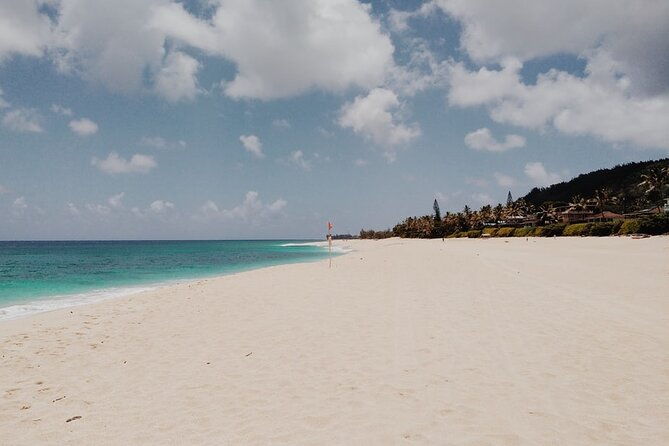 North Shore of Oahu Private Full-Day Tour With Local Guide
