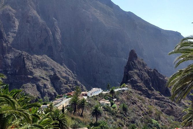 north-tenerifes-mysteries